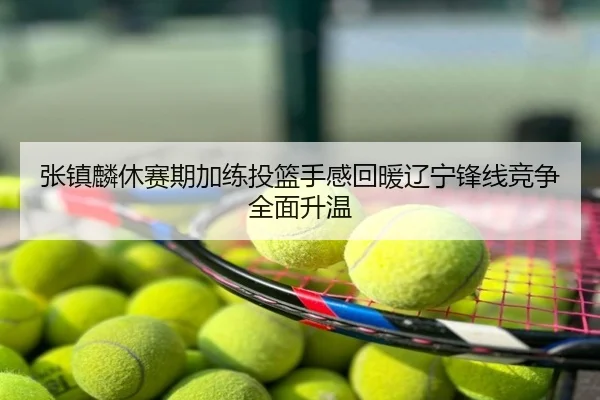 张镇麟休赛期加练投篮手感回暖辽宁锋线竞争全面升温
